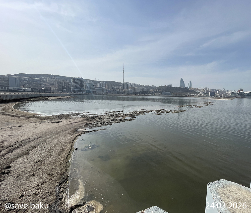 Xəzər geri çəkilir: Bakı buxtası ilə bağlı həyəcan siqnalı (FOTO)