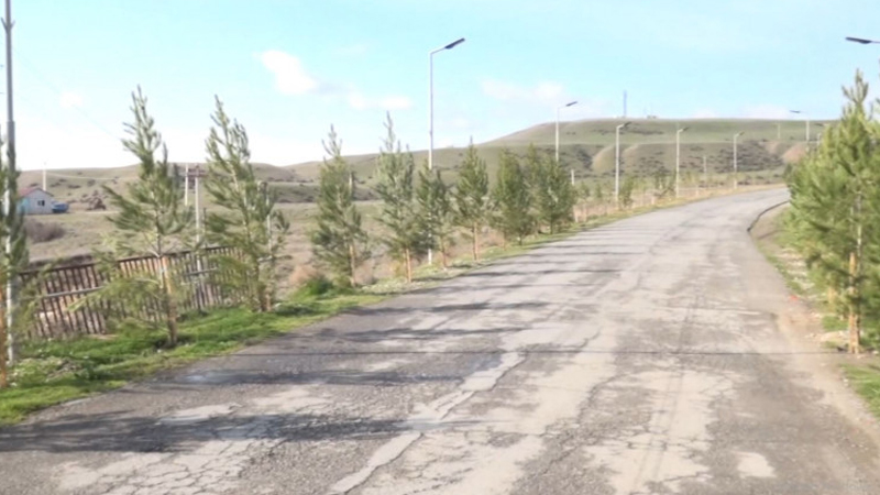 Bələdiyyə sədri kənd sakinlərinin ağac əkməsinə icazə vermədi (VİDEO)