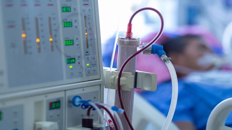 Tibb tarixində ilk: Əvvəl donuz, sonra isə insan böyrəyi köçürüldü