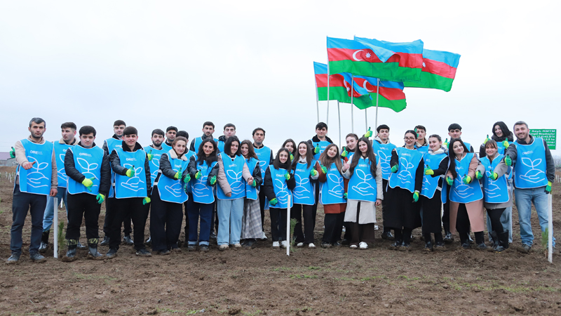 IDEA Şəki və Qəbələdə kütləvi ağacəkmə aksiyası təşkil etdi (FOTO)