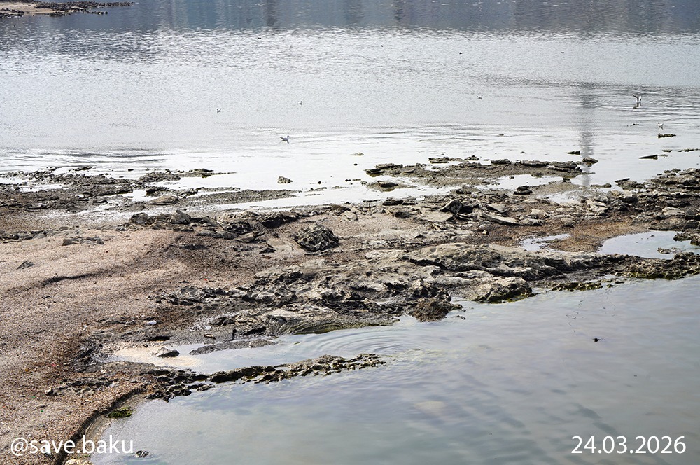 Xəzər geri çəkilir: Bakı buxtası ilə bağlı həyəcan siqnalı (FOTO)