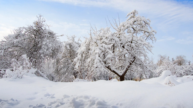 Dağlıq ərazilərə qar yağır - FAKTİKİ HAVA