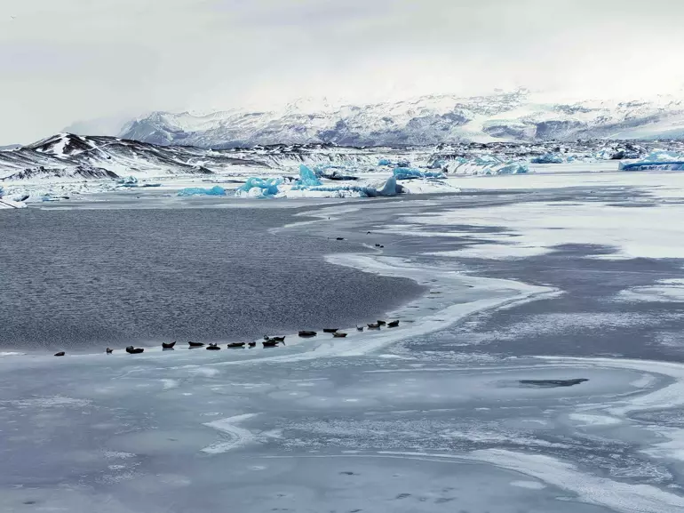 Şimalın mavi sirləri: Buz mağaraları (FOTO)