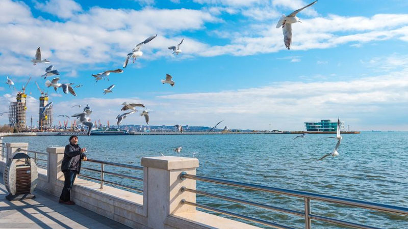 Fevralda maksimal temperatur 27 dərəcə olub