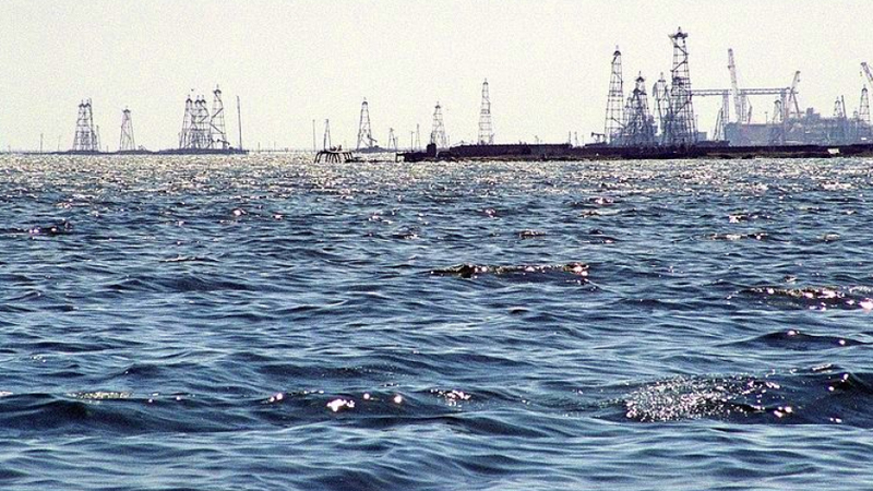 Ekoloq xəbərdarlıq edir: Xəzər üçün təcili tədbirlər lazımdır!