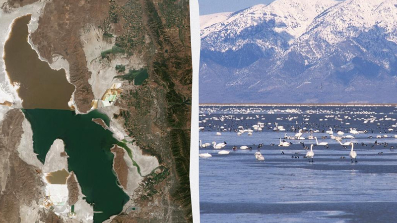 Alimlər həyatı mümkün olmayan yerdə tapdı: Bu canlıları əvvəllər Yerdə görməyiblər