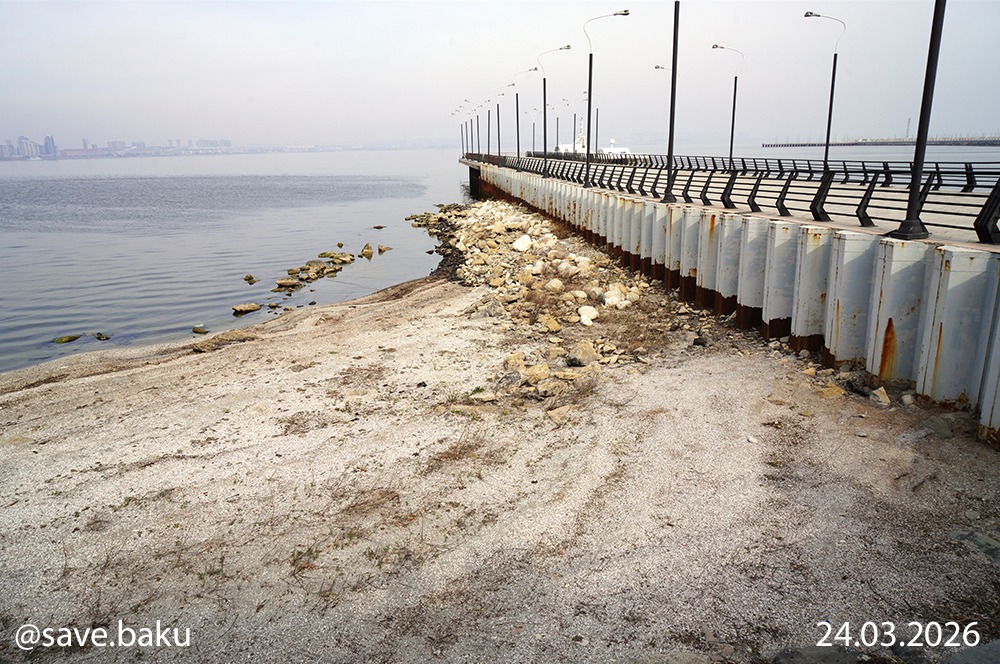 Xəzər geri çəkilir: Bakı buxtası ilə bağlı həyəcan siqnalı (FOTO)