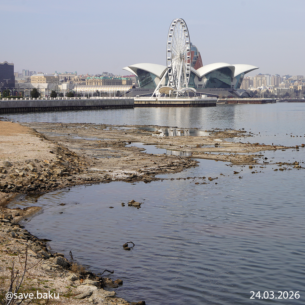 Xəzər geri çəkilir: Bakı buxtası ilə bağlı həyəcan siqnalı (FOTO)
