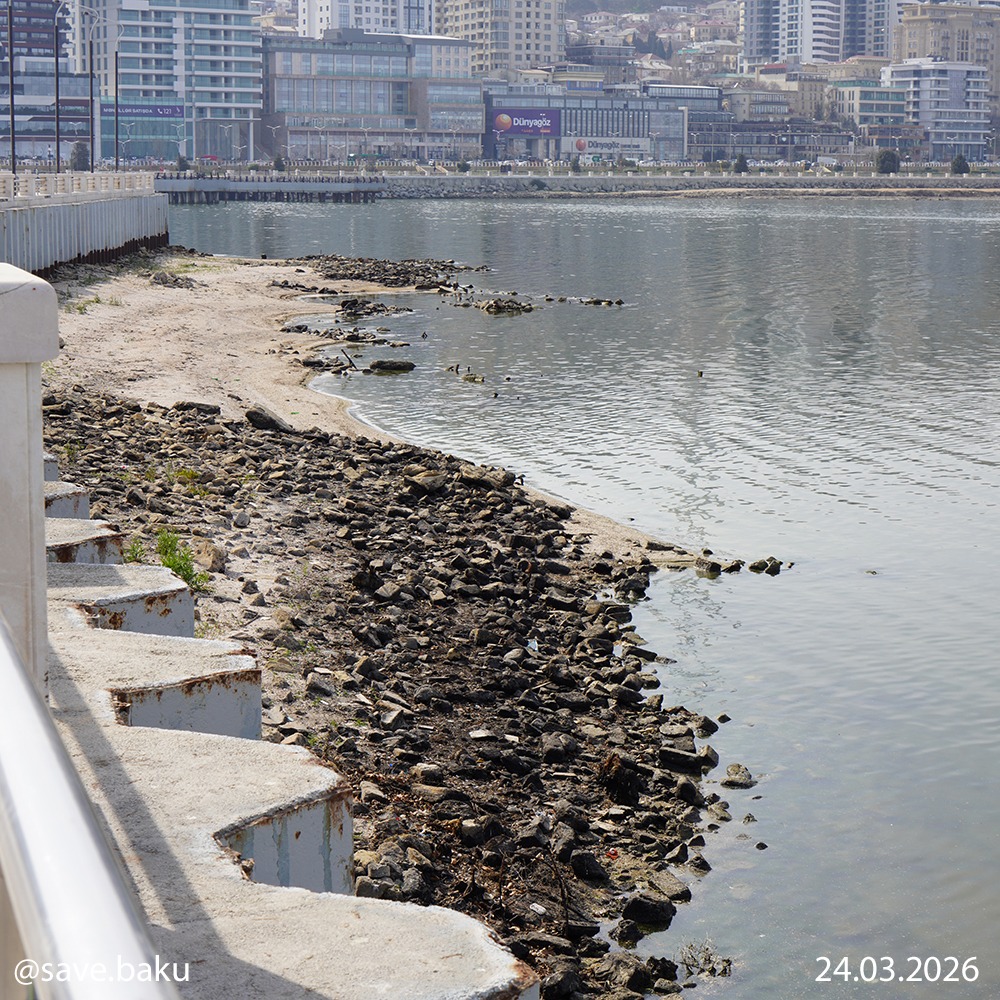 Xəzər geri çəkilir: Bakı buxtası ilə bağlı həyəcan siqnalı (FOTO)