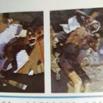 Bağanıs Ayrım kəndindən başlanan vətən savaşının qəhrəmanı…