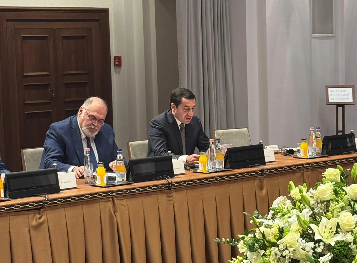 Hikmət Hacıyev TDT ölkələri rəhbərlərinin köməkçilərinin görüşündə iştirak etdi