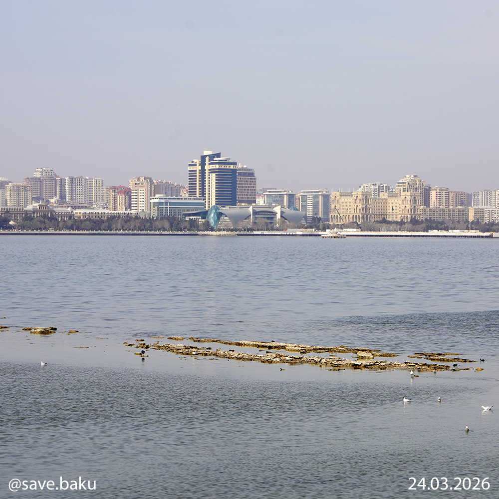 Xəzər geri çəkilir: Bakı buxtası ilə bağlı həyəcan siqnalı (FOTO)