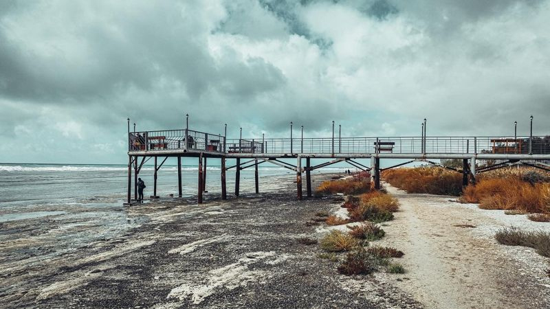 Xəzərdə suyun səviyyəsinin azalması nə vaxta qədər davam edəcək? (VİDEO)