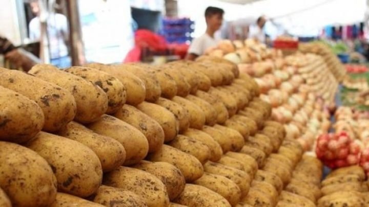 Kartofun qiyməti niyə artır?- Ekspert səbəbləri açıqlayır