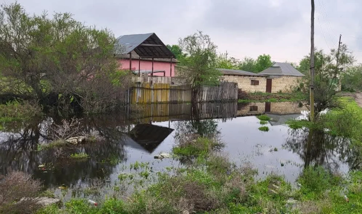 İmişlinin 2 kəndində bəzi əkin sahələri su altında qaldı (FOTO)