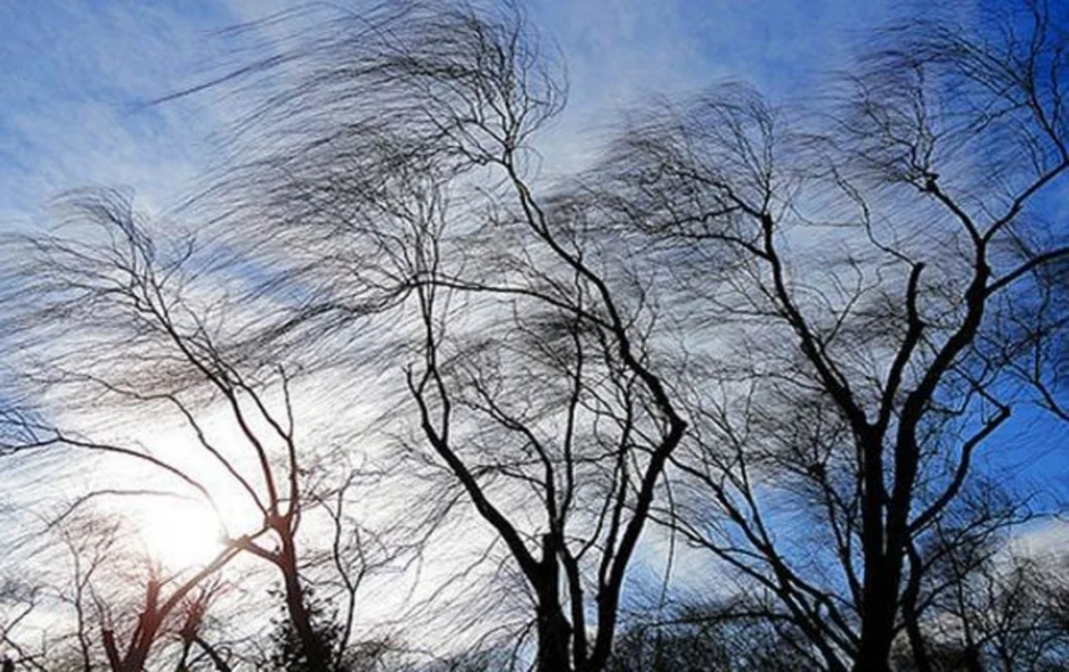 Küləkli hava ilə bağlı sarı və narıncı xəbərdarlıq