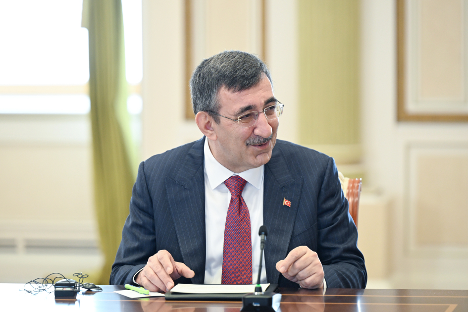 Prezident TDT dövlətlərinin hökumət başçılarını qəbul etdi (FOTO)