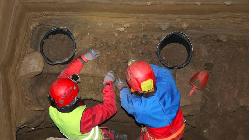 75 min illik bir mağarada əvvəllər heç bir yerdə rast gəlinməyən 46 növ aşkarlandı