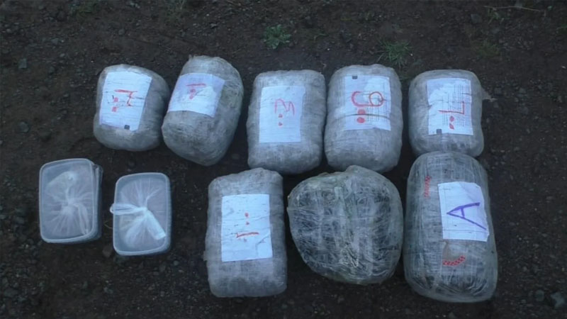 Bu ilin 3 ayı nda 76 milyon manatlıq narkotik dövriyyədən çıxarılıb