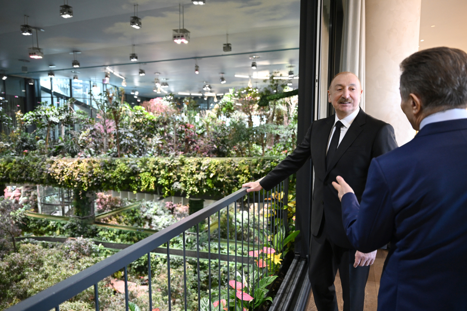 İvanaşvilinin adından İlham Əliyevin şərəfinə lanç verildi (FOTO)