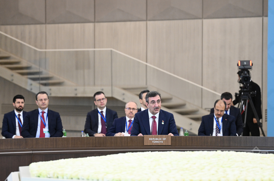 TDT hökumət başçılarının görüşü keçirildi, birgə bəyanat qəbul edildi (YENİLƏNİB)