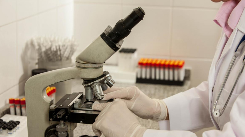 40 min il sonra geri döndülər: Alyaskada buz dövrü canlıları dirçəlir