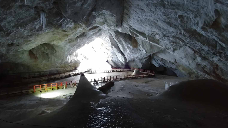 5000 il yaşı olan bakteriya müasir antibiotiklərə davamlı çıxdı: Bu nə deməkdir?