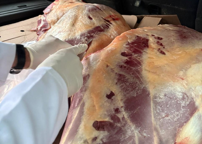 227 kq at ətini Bakıya gətirmək istədilər (FOTO)