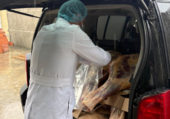 227 kq at ətini Bakıya gətirmək istədilər (FOTO)