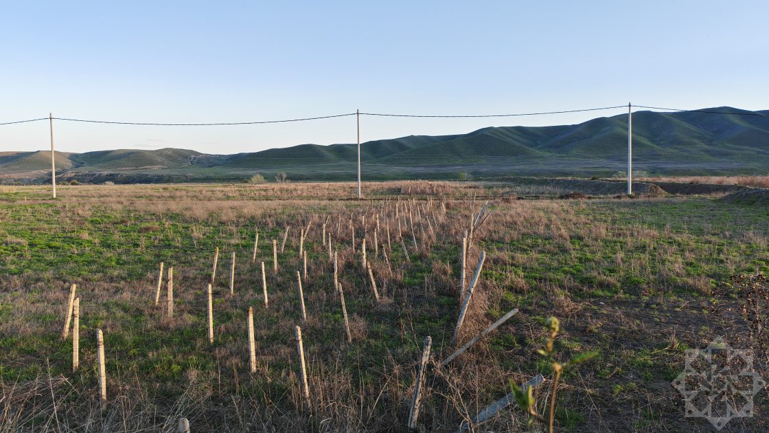 Talış yüksəkliyindən boylanan zəfər: Aprel döyüşlərinin qəhrəmanları danışır (FOTO)