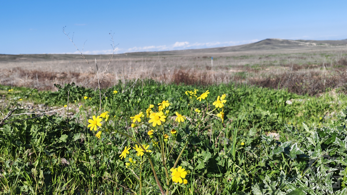Talış yüksəkliyindən boylanan zəfər: Aprel döyüşlərinin qəhrəmanları danışır (FOTO)