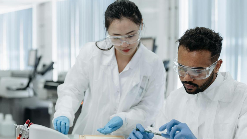 Vəhşi heyvan ticarəti insanların təhlükəli xəstəliklərə yoluxma riskini 50 faiz artırır