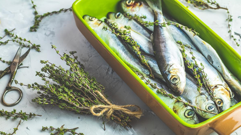 Dəri, ürək və ümumi sağlamlıq üçün hansı balıq faydalıdır?