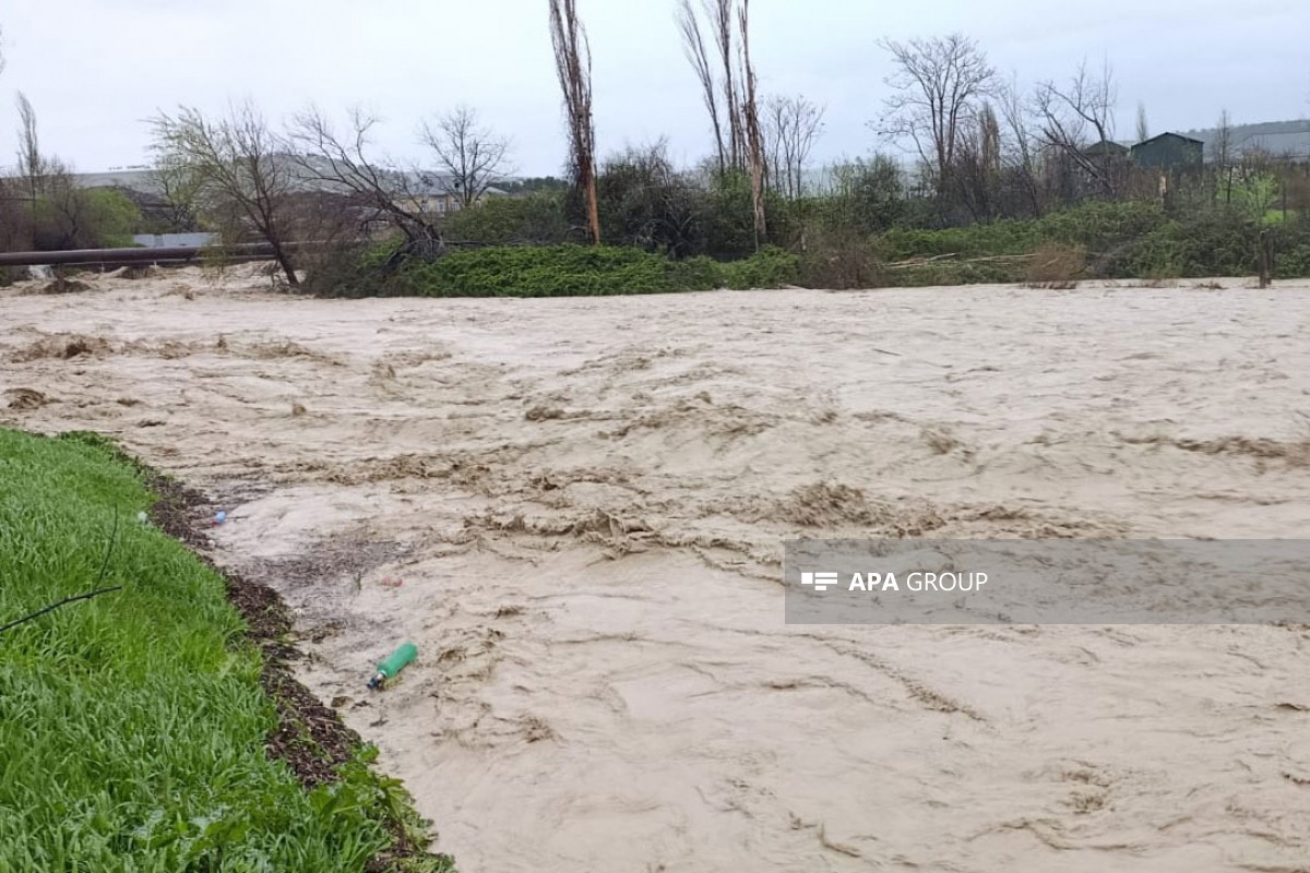 Şabrançayda sel daşqınlara səbəb oldu (FOTO/VİDEO)