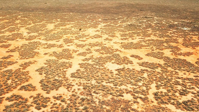 Avstraliya səhrasında 11 kilometrlik 