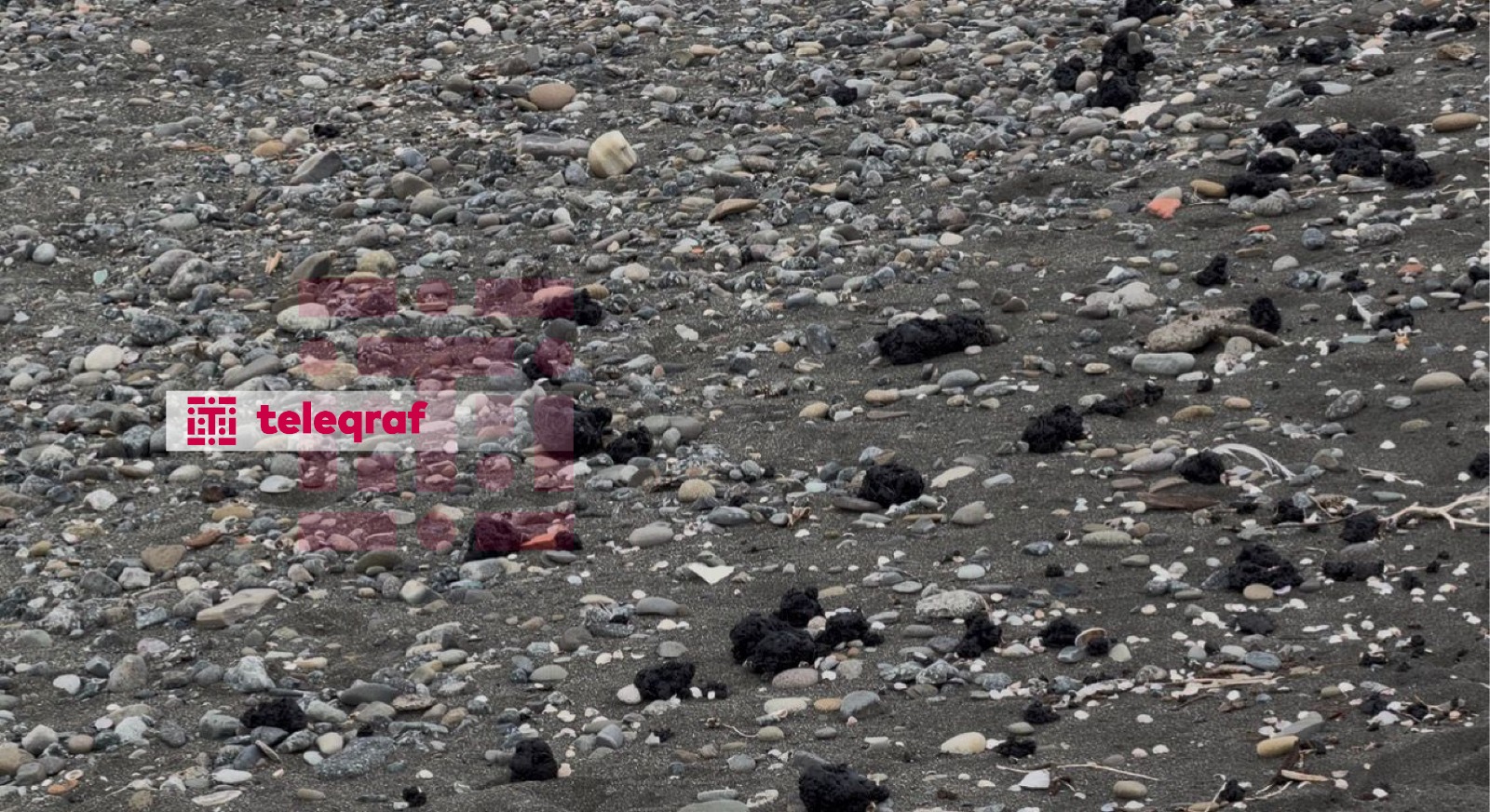 Xəzər sahilində qara təhlükə: Lənkəranda sahilə mazut parçaları çıxır (FOTO)