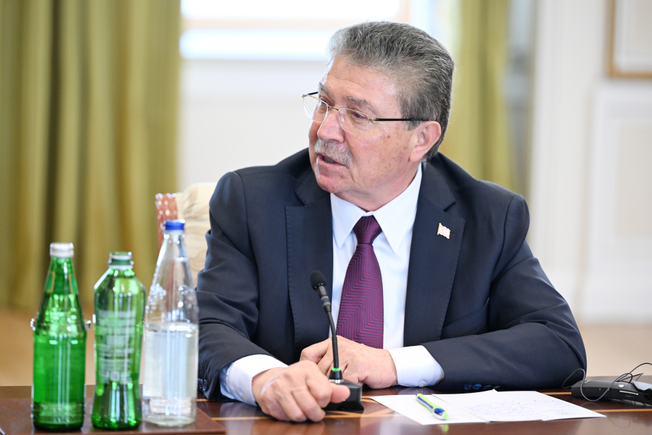 Prezident TDT dövlətlərinin hökumət başçılarını qəbul etdi (FOTO)