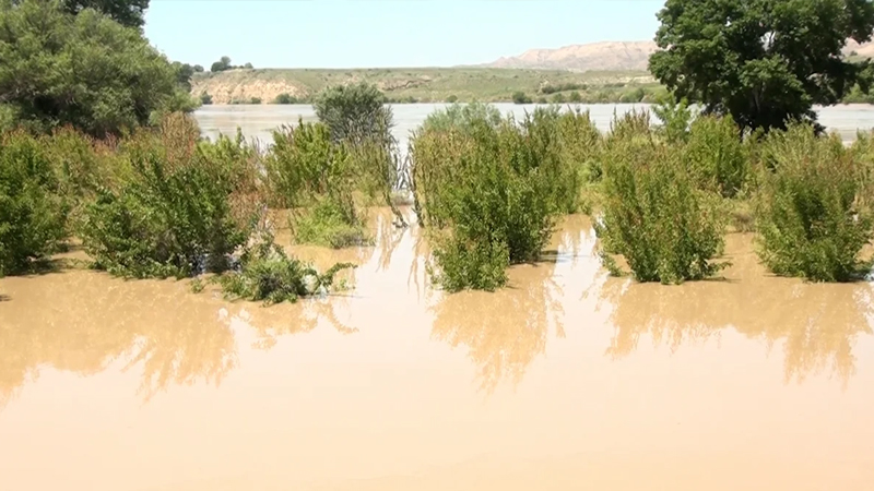 Ağcabədidə Kür çayı bəndi yardı