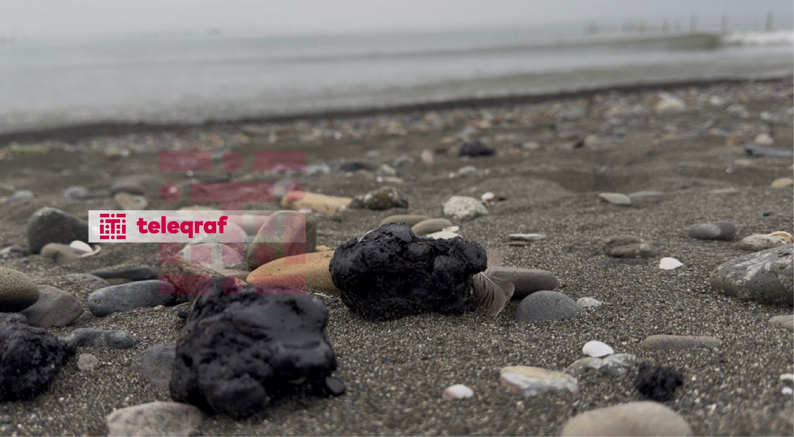 Xəzər sahilində qara təhlükə: Lənkəranda sahilə mazut parçaları çıxır (FOTO)