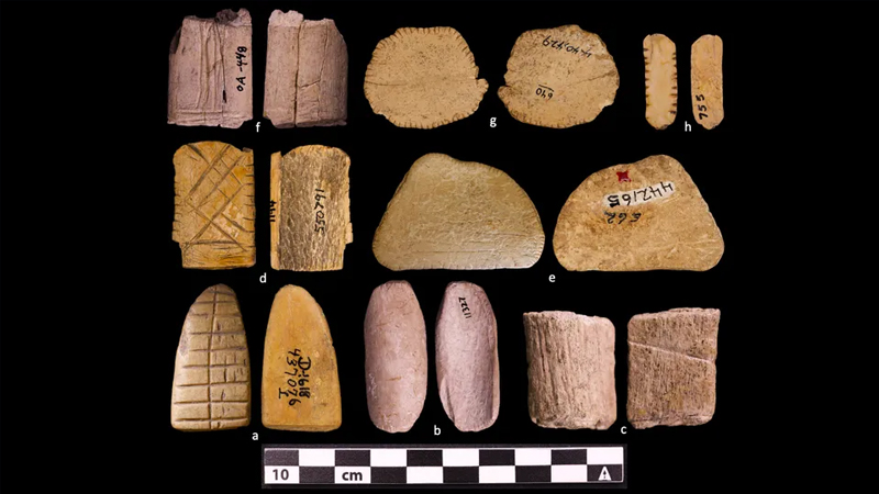 Yerli amerikalılar qumarı 12 min ildən çox əvvəl icad edib (TƏDİQAT)