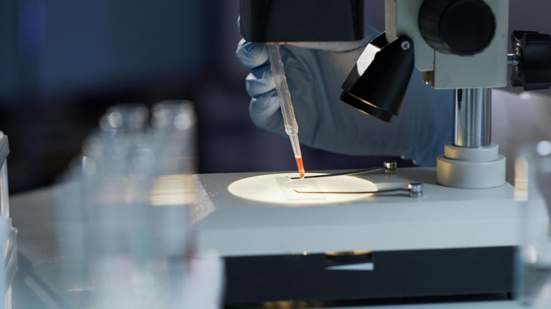 Yarasa koronovirusu insanları yoluxdurmaq üçün yeni mexanizmlərdən istifadə edir