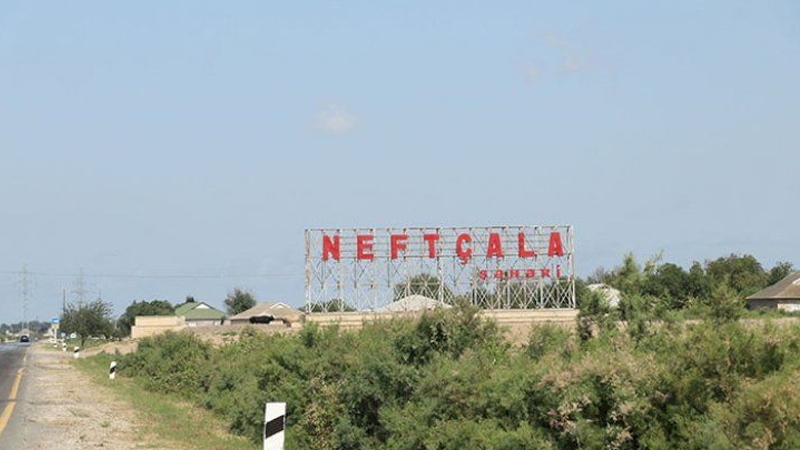 Neftçalada örüş sahələrinə subsidiyaların verilməsi ilə bağlı DAİM sədrindən açıqlama