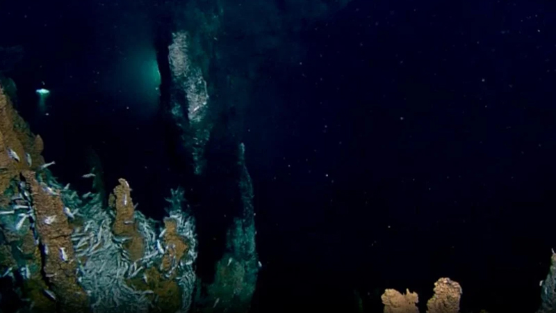 Dünyanın ən böyük 