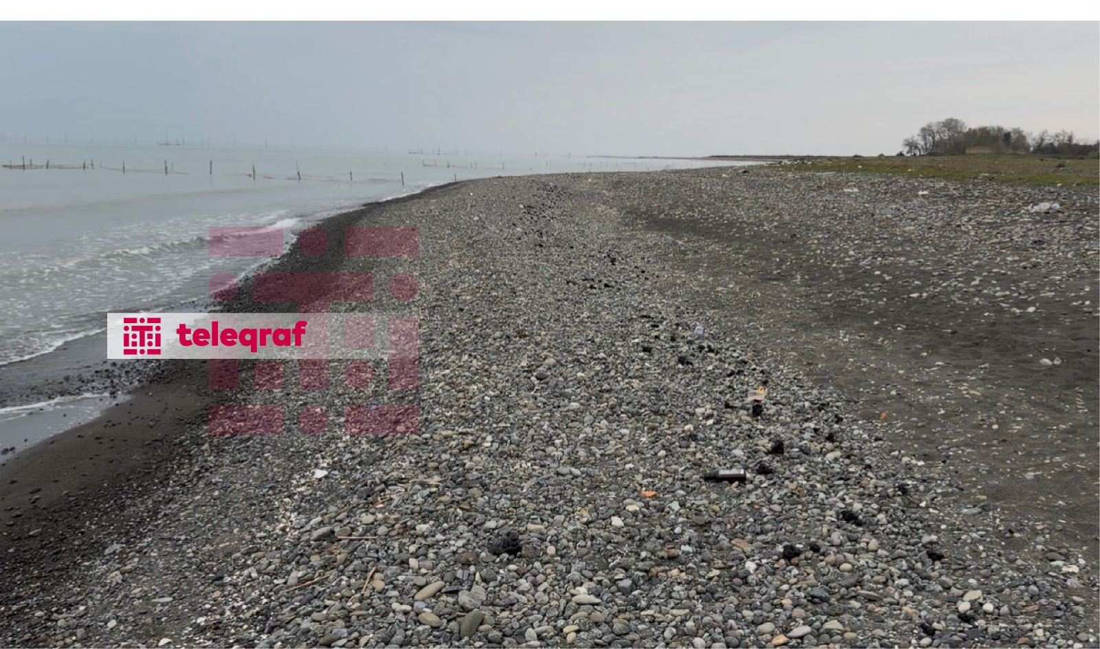 Xəzər sahilində qara təhlükə: Lənkəranda sahilə mazut parçaları çıxır (FOTO)