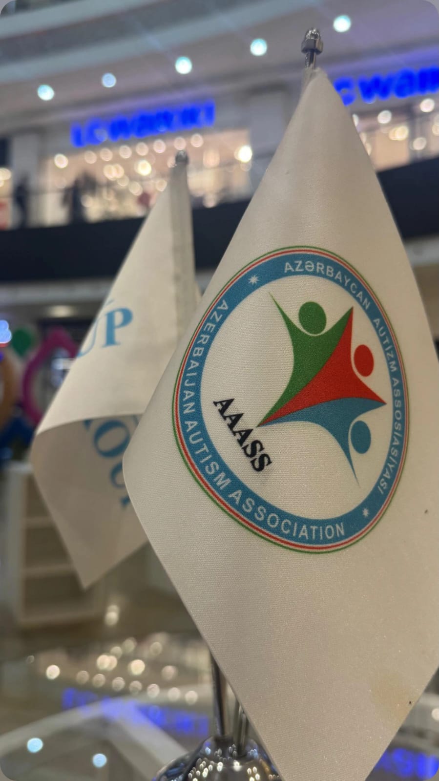 Bakıda psixologiya və loqopediya festivalı keçirildi