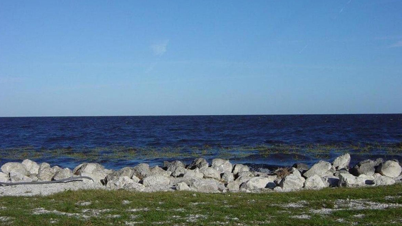 Orda 30 min alliqator yaşayır: Planetin ən təhlükəli göllərindən biri hansıdır?