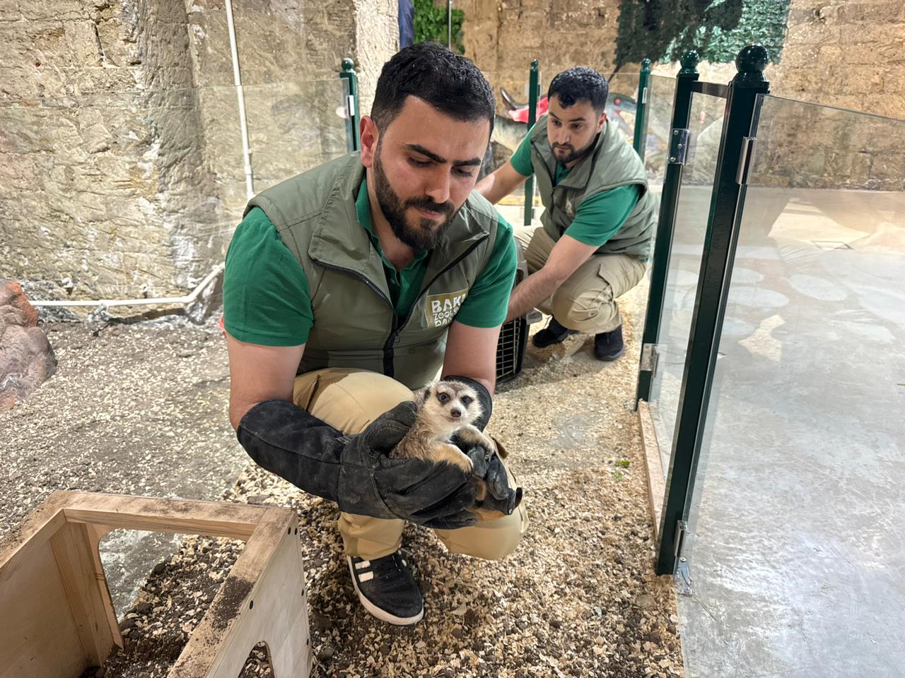 Qanunsuz saxlanılan vəhşi heyvanlar xilas edildi (FOTO)