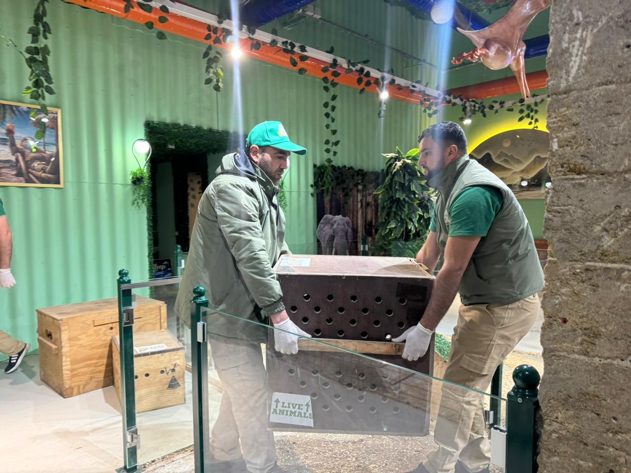 Qanunsuz saxlanılan vəhşi heyvanlar xilas edildi (FOTO)