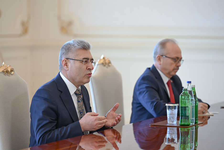 Prezident Türkiyə Ali Məhkəməsinin Baş prokurorunu qəbul etdi (FOTO)