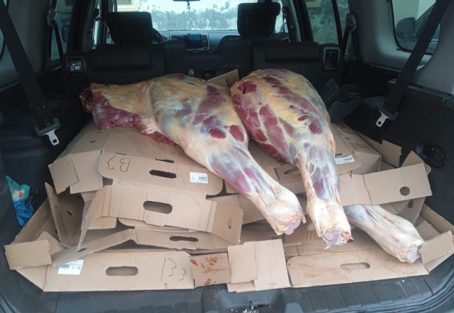 227 kq at ətini Bakıya gətirmək istədilər (FOTO)